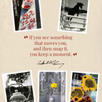 20261125_linda-mccartney-stamps